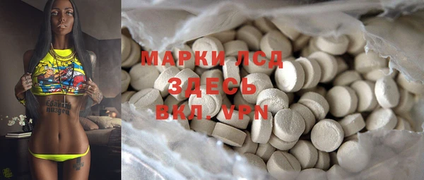 спайс Баксан