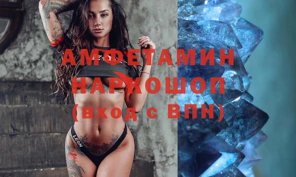 шишки Дубовка
