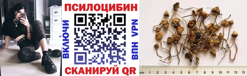 Псилоцибиновые грибы Psilocybine cubensis  цены наркотик  Борзя 