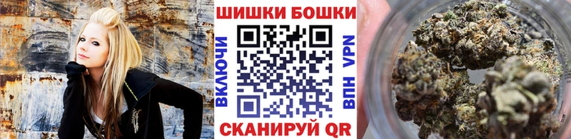 Бошки Шишки планчик Борзя